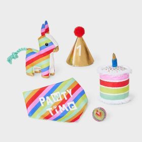 Party Milestone Gift Pack Dog Ball Toy Set - 5pc